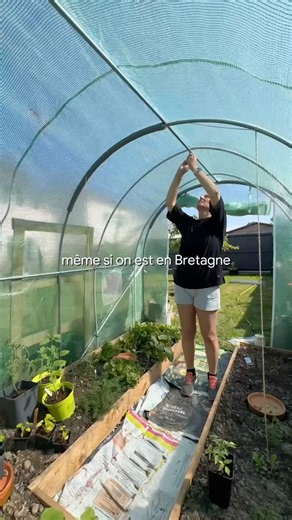 My small hoop house ep 6: installing wire arches for vertical gardening
