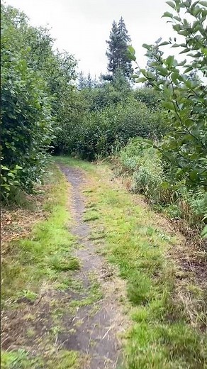 A Hike at Kachemak Bay State Park - Kenai Peninsula, Alaska