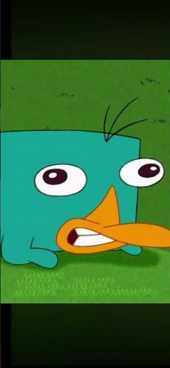 Platypus noise from Perry