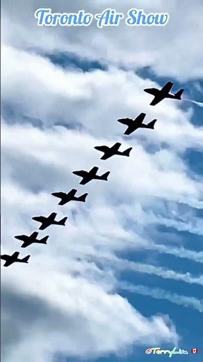 Canadian Forces Snowbirds, 75th Canadian International Air Show, Toronto 2024