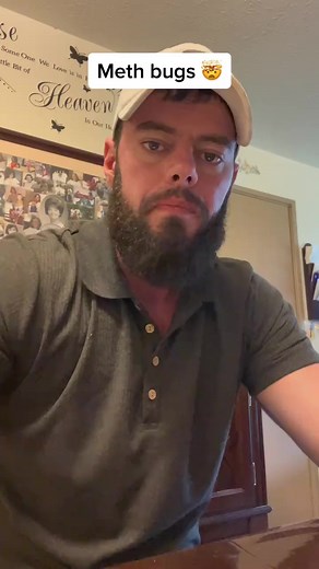 227 reactions · 15 shares | Meth bugs? #addiction #recovery #rehab #awareness #viral #fyp #scarnation | Josh Catlett | Facebook