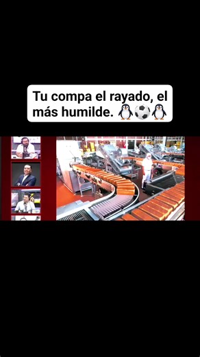 Tu compa el rayado, el más humilde. 🐧⚽🐧 | El Incomparable Tigre de la U