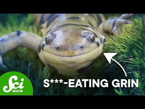 Why These Animals Eat Sh*t