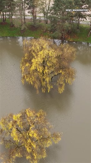 Seattle Times on Instagram: "Several highways still haven't reopened Tuesday as floodwaters continued to threaten low-lying areas and cover roads across western Washington. Visit seattletimes.com to read more. ( @erikajschultz / The Seattle Times)"