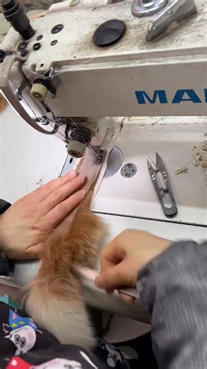 Sewing the fur #janefur #furpassion #furlover #satisfyingvideos #furfactory #fur #realfur #sew #craftmanship #furvibes #asmr #satisfying#sewing we are the fur factory,for more information,feel free to contact us email:jason@janefur.comWhatsApp 8619057085907 Our Website:www.janefur.com | janefur_official