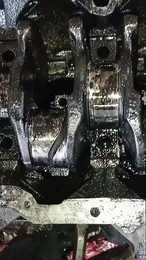 Loss to the customer. Engine crankshaft broke! Puma 2.4 tdci