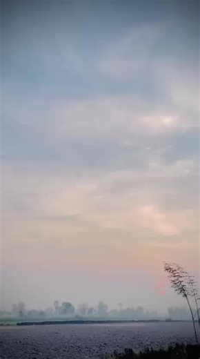 Exploring Plastic Waste Solutions for Sustainable Living