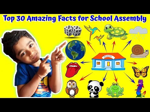Top 30 Amazing Facts for School Assembly - Amazing Facts for kids - Did You Know These Facts?🤔🤨