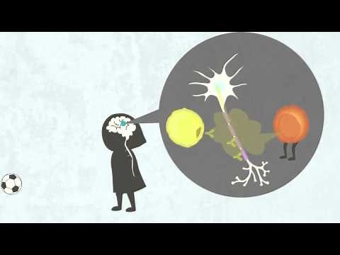 The Immune Attack - Multiple Sclerosis