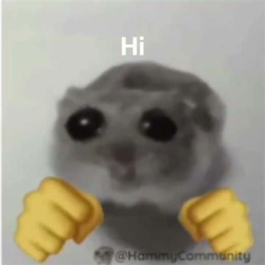 the hamster is angry