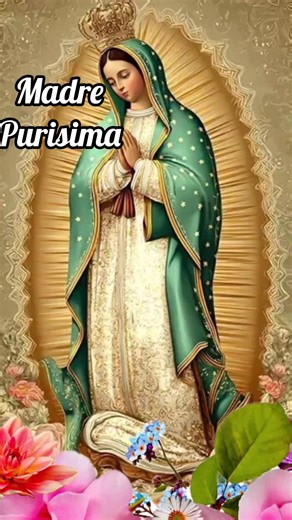 Madre Purisima #cuidanos🙏🤝❤️ #amordivino ♥️😇#Familycatolica ⛪️🚶‍♀️🚶‍♀️