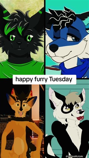 happy furry Tuesday! #furry #furryfandom #furrycommunity #furrytiktok #furrytuesday @💚PierceRose💚 @Wolf @🐺 Hutch the Husky 🐺 @Silas Nova