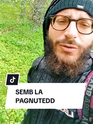 SEMB LA PAGNUTEDD,♥️
