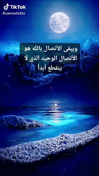 Dreamy Nighttime Scenes with Moon and Roses