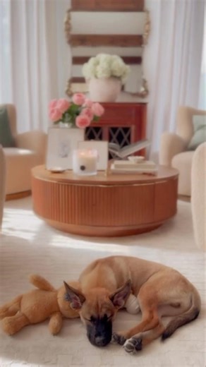 Coffee table styling ideas that instantly elevate your living room ￼