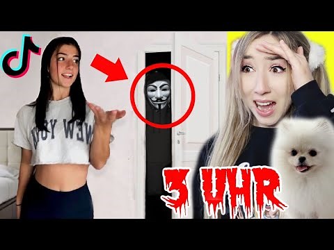 SCHAUE um 3 UHR NACHTS niemals dieses TIKTOK alleine im HAUS mit BABY FLUFFY *GAME MASTER zurück*