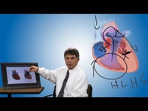 Pediatric Playbook: Congenital Heart Defect Hypoplastic Left Heart Syndrome (HLHS)