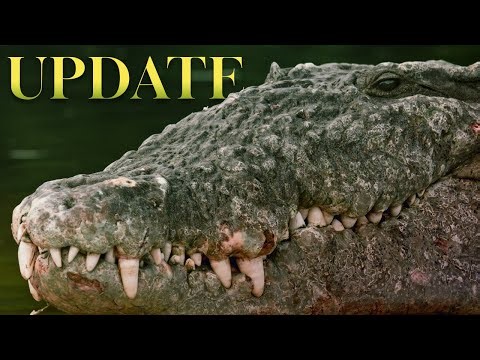 Chasing Croczilla: Behind-the-Scenes Teaser | Everglades Documentary