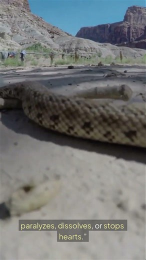 how venom became dangerous