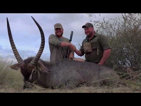 Hunting the WATERBUCK !
