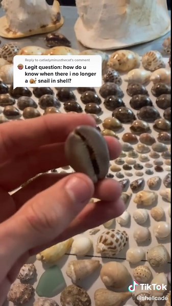 Identifying an Empty Shell: Tips and Tricks