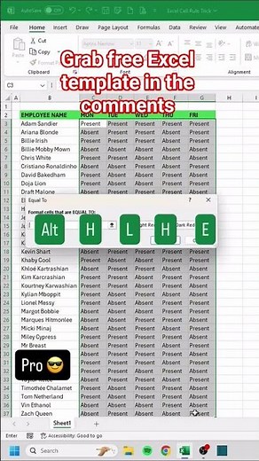 how to use Conditional Formatting in excel