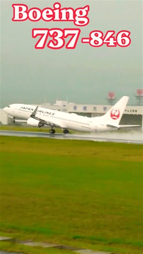 ボーイング737-846 迫力の離陸シーン！エンジンの推進力と機体の美しさを解説【JAL / B737-800】