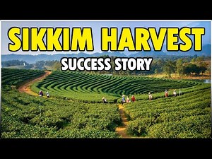 Sikkim Harvest | Success story of Organic Farmers in Sikkim