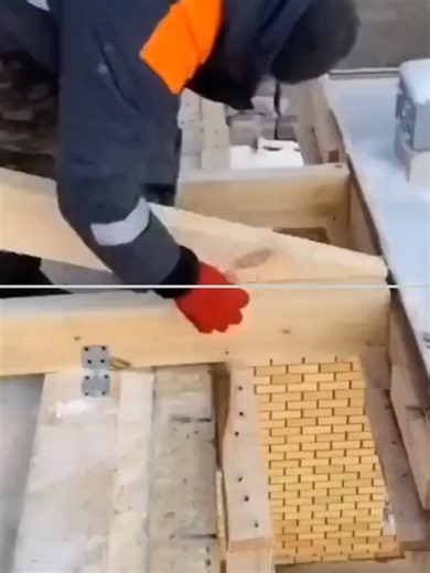 Video của ideas_fox (@ideas_fox) với bản nhạc Tale of Two Brothers - Benny Cat Family