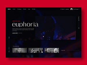 Video Streaming Platform