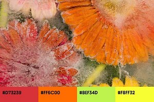 Summer Color Trends 2023: Color Palettes & Curated Collections