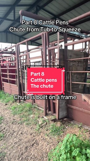 Part 8. Cattle pens! Tik tok muted me so take 2 🎬. #cattlepens #workingcattle #ranchlife #ranching
