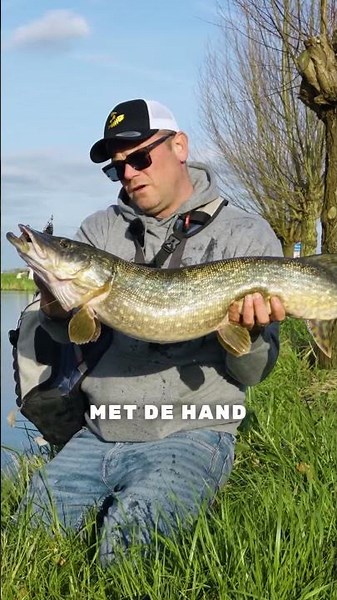 YOU WOULDN'T EXPECT A PIKE LIKE THAT IN THE POLDER!