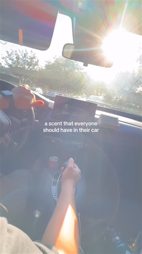 The best part about our portable diffuser? No plugs. No toxic oils. Just a cleaner way to scent your car 🤌🚗 #cleanfragrance #targetfinds #nontoxic #zeya | ZEYA