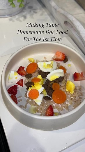 Making Homemade Dog Food for Table: Our First Attempt