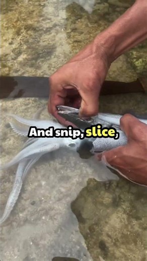 Fish eaten by squid #SquidVsFish #UnderwaterDrama #WildlifeWonders #OceanAdventures #TrendingNow