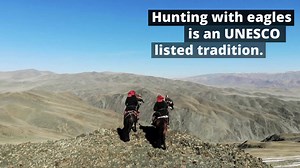 15K views · 153 reactions | Eagle hunting 2.0 - when #Tradition meets #Technology. How do you train wild eagles? Prototype #ROBOFOX is a new practice tool for Eagle masters. #RemoteControl #EalgeHunter #IndyGuide | INDY GUIDE | Facebook