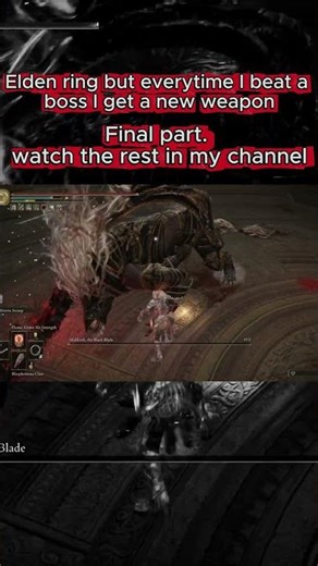 Elden ring randomizer