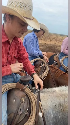 Carson has a new name | Dale Brisby