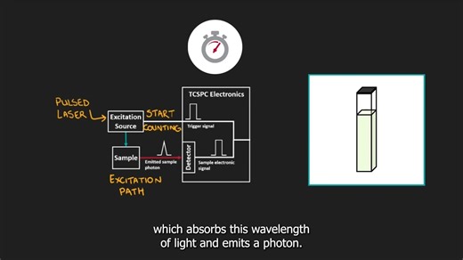 如何用TCSPC测量荧光寿命