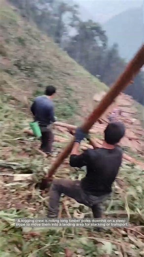 Controlled Downhill Log Handling on Steep Terrain