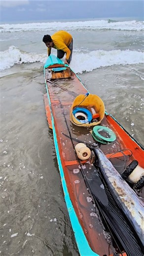 Using a Rowing Boat to Catch Big Sailfish #fishing #fish #fishingboat