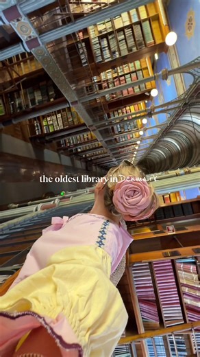 Exploring Copenhagen's Historical Libraries