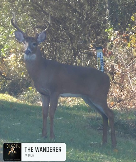 That time of the year. | Dave Hall