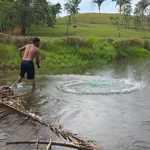 pescando con atarraya en un arroyo muy bonito | Pesca y Aventura