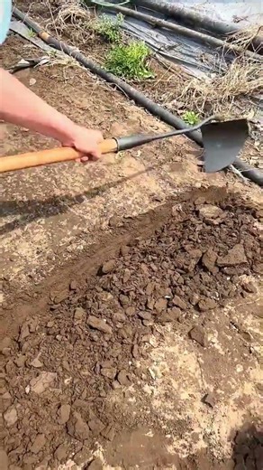 This Tool Makes Gardening 10x Easier! 🌿✨