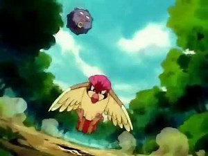 POKEMON Pidgeotto VS Ekans and Koffing (qualite HD)