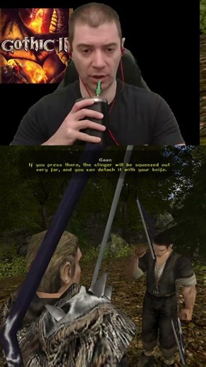 DIY Stingers - Gothic 2 (2003 PC RPG)