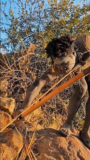 Hadzabe Hunters Chasing Deer with Bow & Arrow in African Jungle 🏹🦌 | Real Hunting Life #triballife