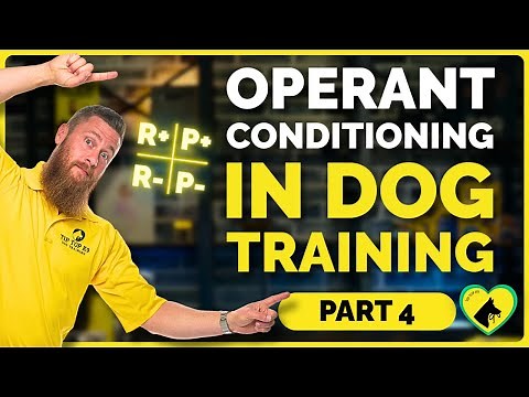 Operant Conditioning in Dog Training | Four Quadrants of Dog Training Simplified